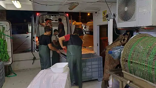 Bir ayda 198 ton hamsi çıkışı oldu