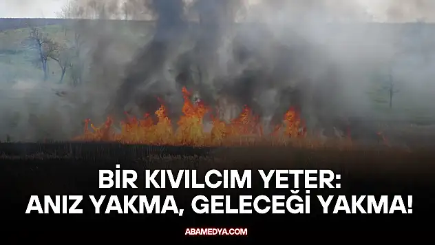 Bir Kıvılcım Yeter: Anız Yakma, Geleceği Yakma!