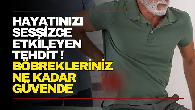 Böbrekleriniz Sağlığınızı Tehdit Ediyor