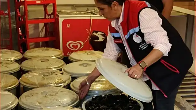 Bolu'da 650 kilo kaçak midye ele geçirildi
