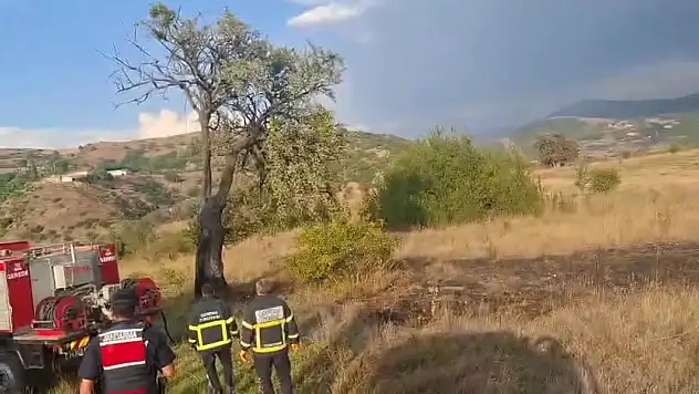 Ağaca düşen yıldırım yangına sebep oldu