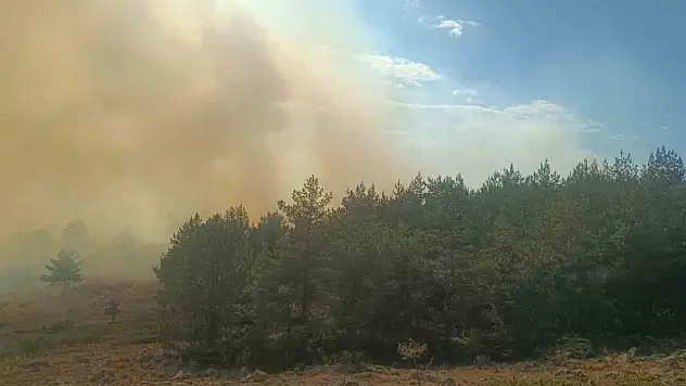 Bolu'da anız yangını ormana sıçradı: 2 helikopter sevk edildi