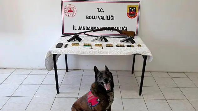 Bolu'da evinde silah ve mühimmat bulunan şüpheli tutuklandı