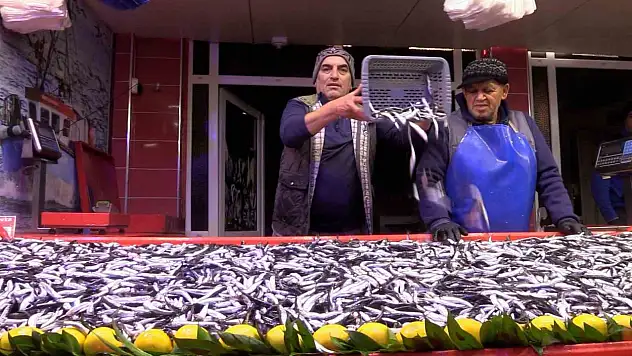 Bolu'da hamsinin kilosu 150 liraya düştü