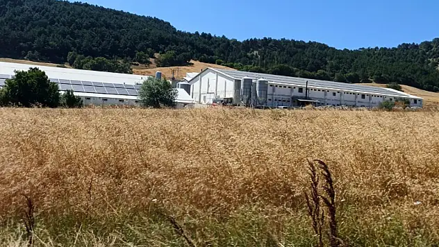 Facianın eşiğinden dönüldü