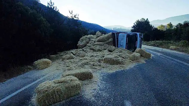 İki kamyon kafa kafaya çarpıştı: Samanlar yola saçıldı, 2 yaralı