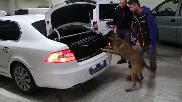 Bolu'da kaçakçılık operasyonunda 4 gözaltı