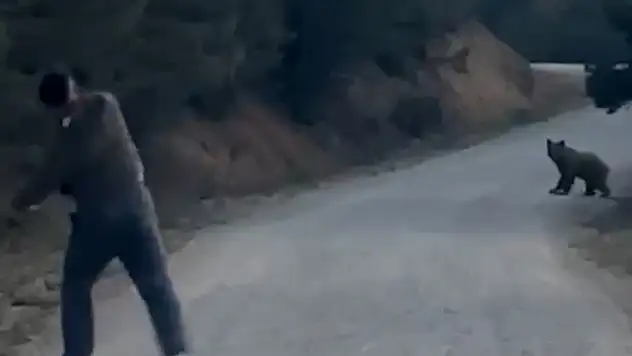 Karşılarına çıkan ayıyı taşla kovaladılar