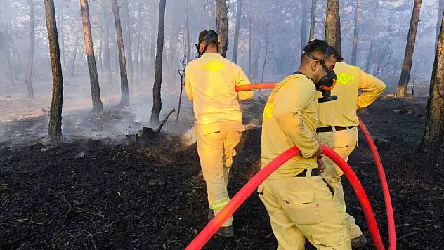 Bolu'da küle dönen 20 hektar ormanda, soğutma çalışması sürüyor