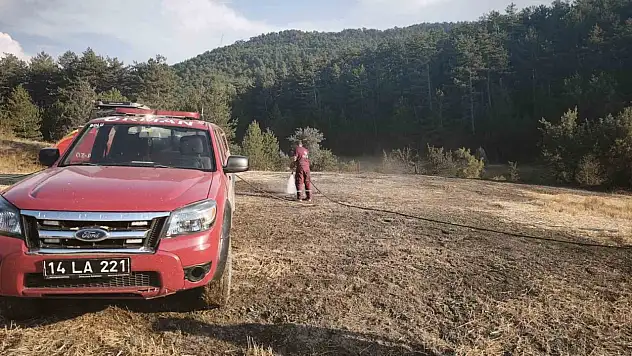 Bolu'da orman kenarında anız yangını: Köylülerin su tankerli müdahalesi faciayı önledi