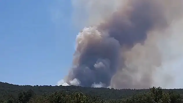 Bolu'da orman yangını başladı