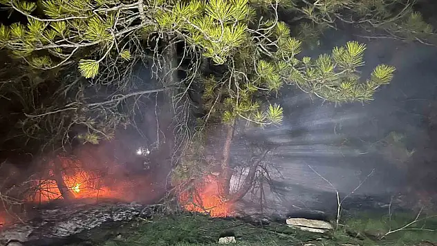 Bolu'da ormanlık alanda yangın