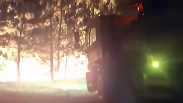 Bolu'da örtü yangını ormana sıçramadan söndürüldü