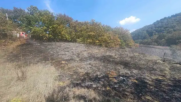 Bolu'da ot yangını büyümeden söndürüldü