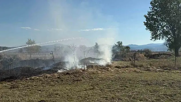 Ot yangını büyümeden söndürüldü