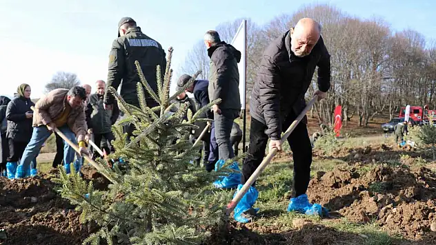 Bolu'da otel faciasında yaşamını yitiren 78 kişi için hatıra ormanı