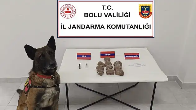 Bolu'da otomobilde zulalanmış uyuşturucuya 2 gözaltı