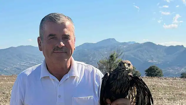 Bolu'da sıcak asfalta yapışan şahin, muhtarın müdahalesiyle kurtarıldı