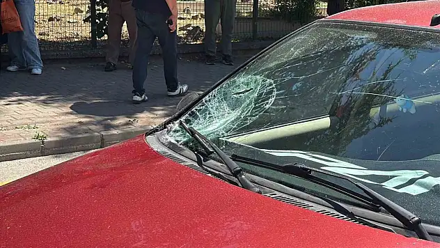 Yaya geçidinde otomobil yaşlı adama çarptı: 1 yaralı