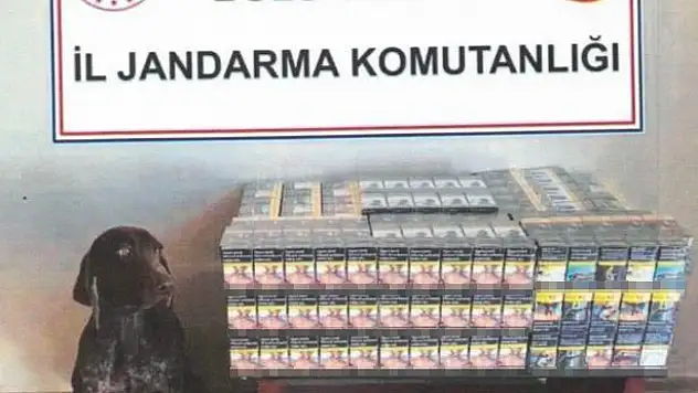 Bolu'da yolcu otobüsünde kaçak sigara ele geçirildi