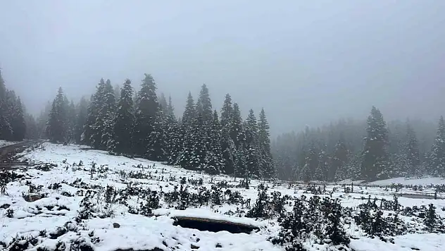 Bolu'nun yüksekleri beyaz örtüyle kaplandı