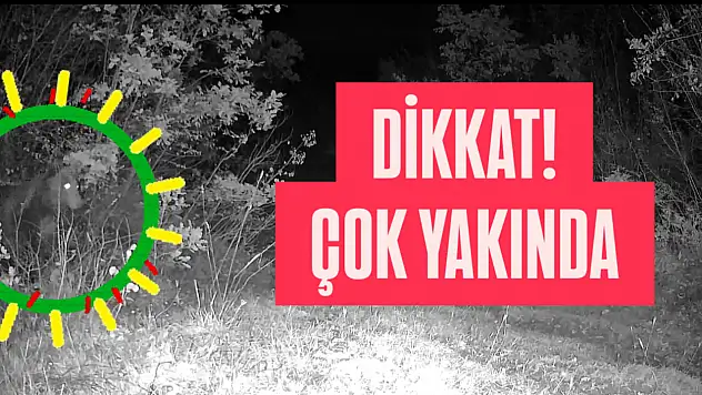 Bu kez çok yakında