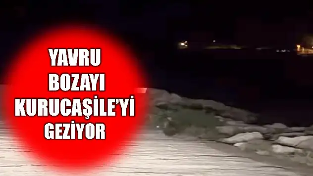 Bu kez limanda görüntülendi