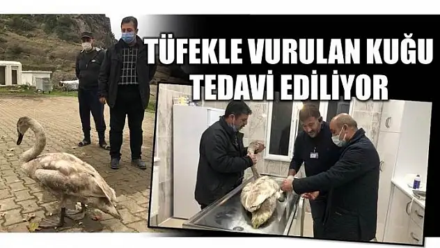 BU NE ACIMASIZLIK!!!