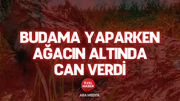 Budama Yaparken Ağacın Altında Can Verdi