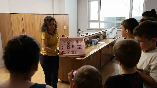 Büyük bir ilgiyle böceklerin dünyasını tanıdılar