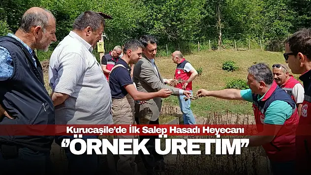 Büyük Şehirden Köyüne Döndü, Başardı