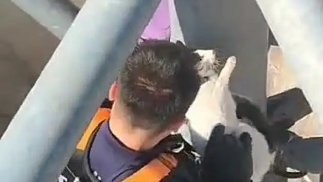 Çatıda mahsur kalan kediyi itfaiye kurtardı