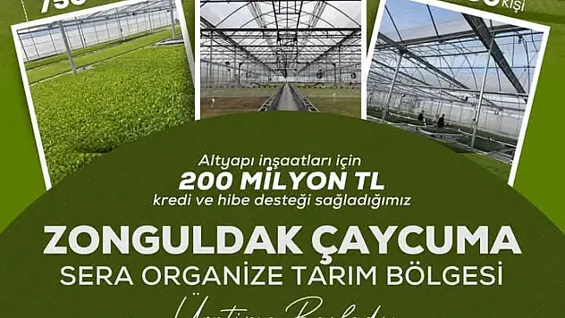Çaycuma'da Sera Organize Tarım Bölgesi Üretime Başladı