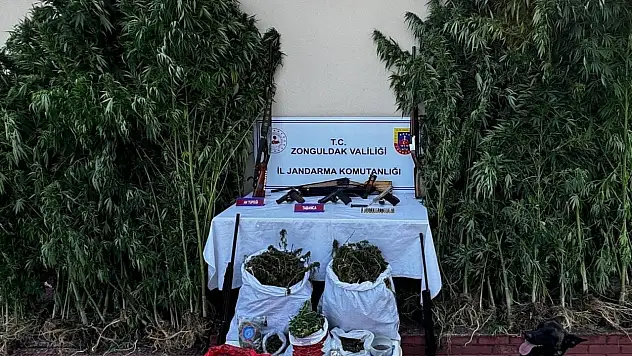 Çaycuma'da uyuşturucu tacirlerine büyük operasyon