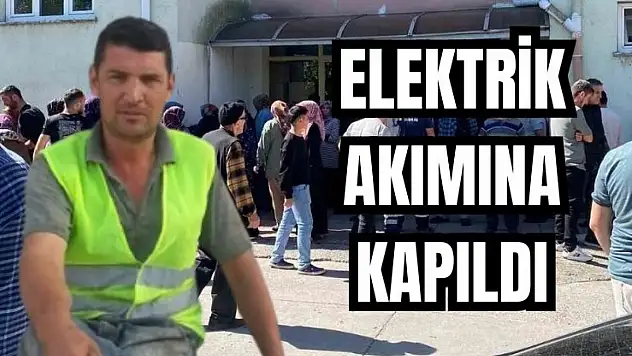 Feci ölüm