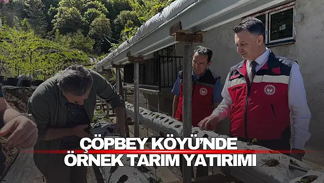 Çöpbey Köyü'nde Örnek Tarım Yatırımı