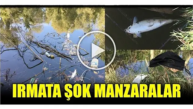 ÇÖPLER DOLUYOR BALIKLAR ÖLÜYOR!
