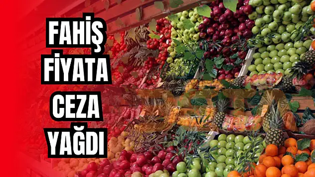 'Denetimler sürecek'