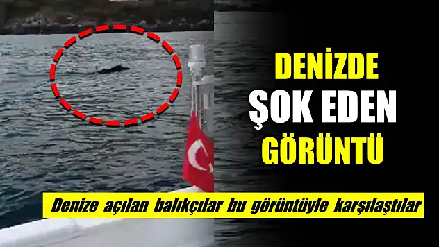 Denizde şok eden görüntü