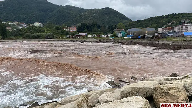 Denizin rengi değişti