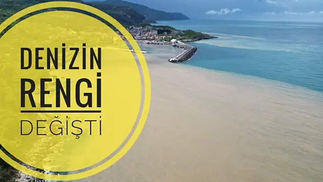 Denizin Rengi Değişti