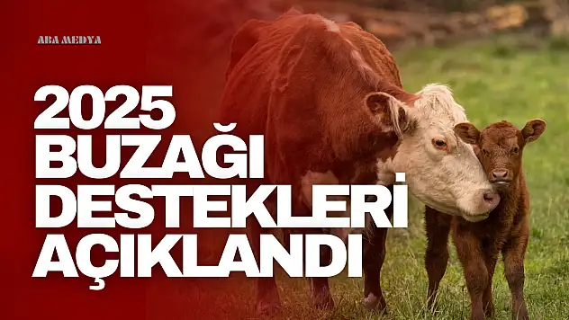Destek Miktarları Rekor Seviyeye Ulaştı