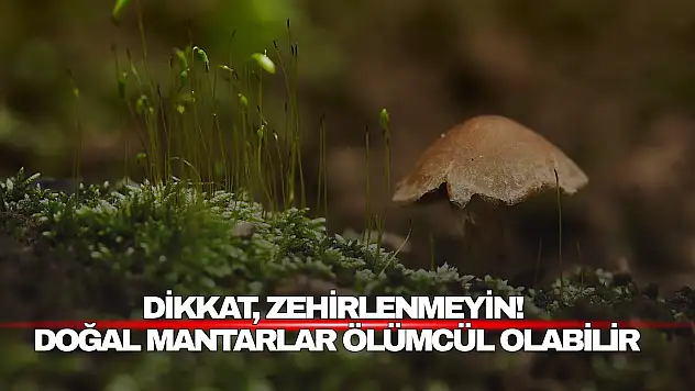 Dikkat, Zehirlenmeyin!