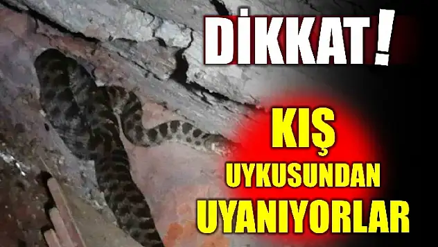 Doğaseverler dikkat