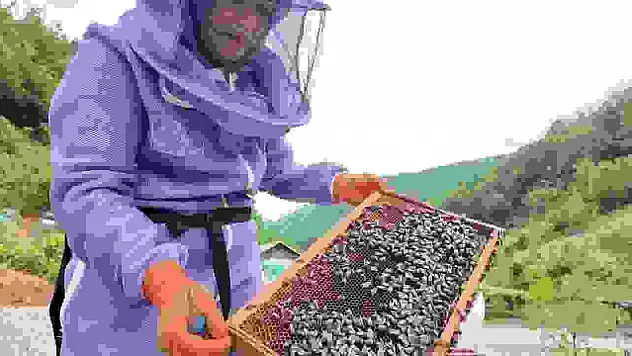 Doğaya aşık üretici kadının başarı hikayesi