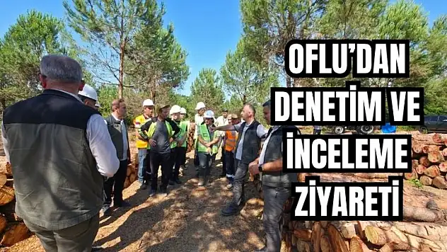 'Doğru planlama, doğru zamanlama, doğru üretim'