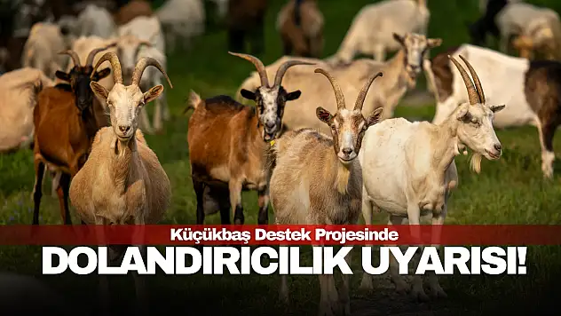 Dolandırıcılık Uyarısı!