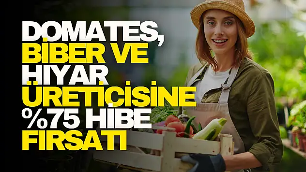 Domates, Biber ve Hıyar Üreticisine Hibe Fırsatı