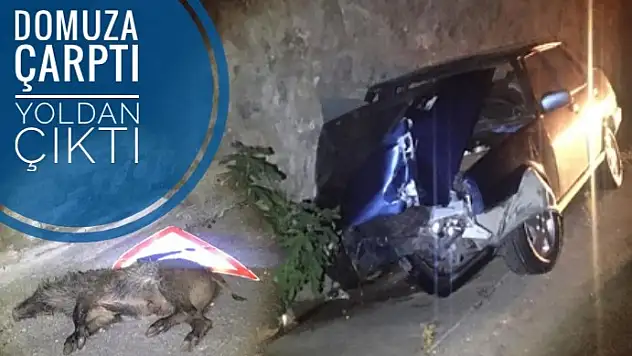 DOMUZA ÇARPTI YOLDAN ÇIKTI