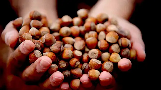 Düzce'de 15 bin 288 ton ihraç edildi